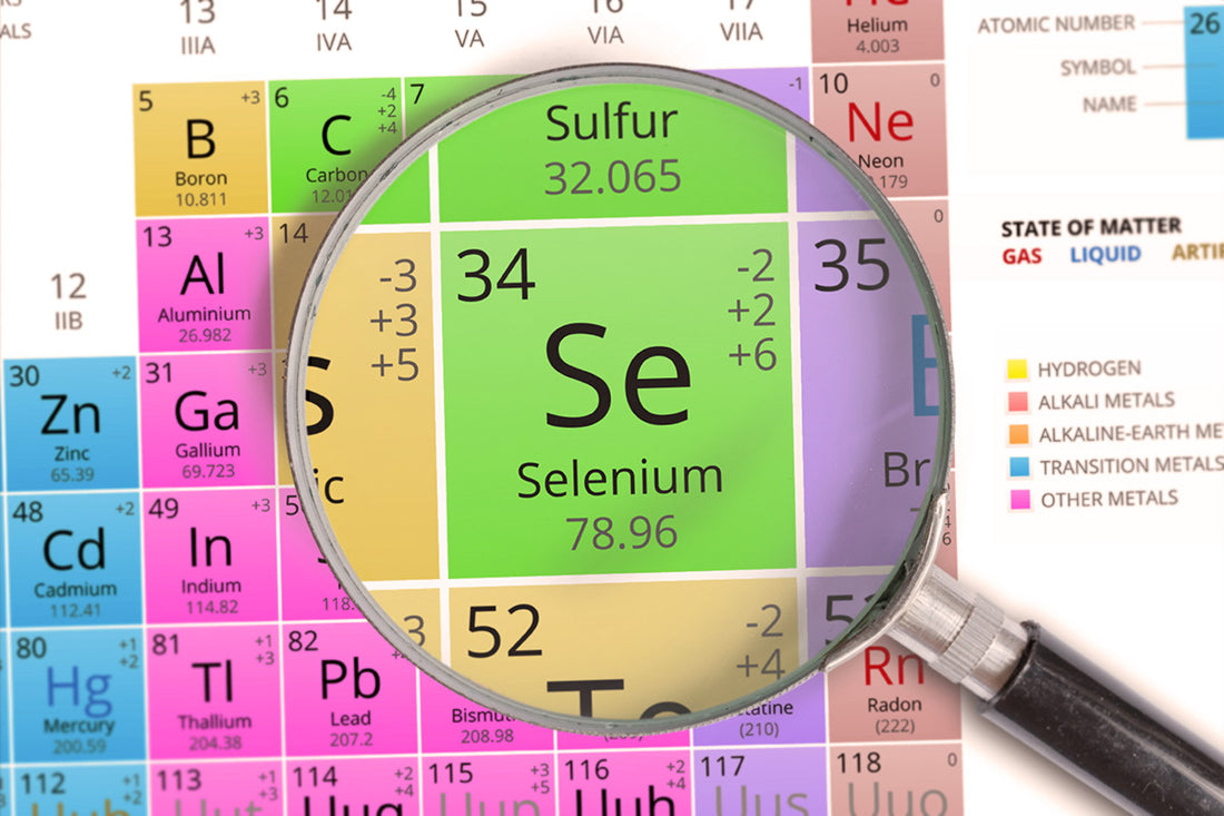 Selenium – The Anti-Ageing and Thyroid Protection