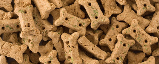 Golden Turmeric Dog Biscuits Recipe