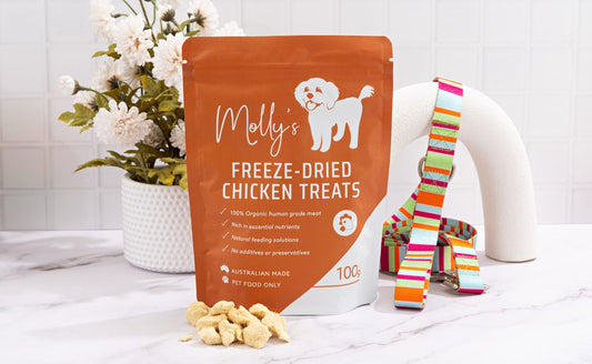 Kibble or Freeze-Dried