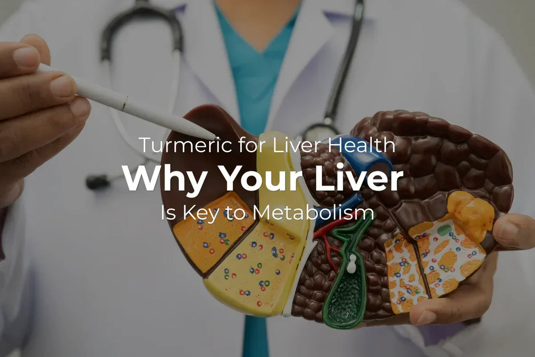 Turmeric for Liver Health: Why Your Liver Is Key to Metabolism