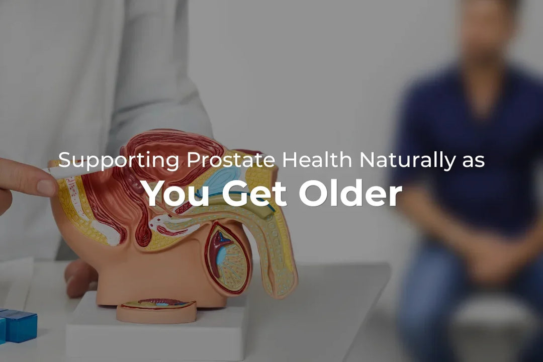 Supporting Prostate Health Naturally as You Get Older