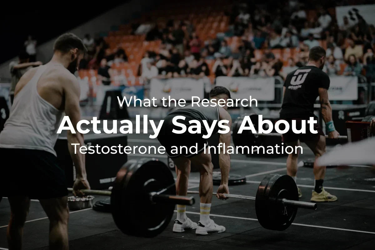 What the Research Actually Says About Testosterone and Inflammation