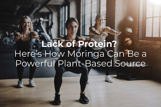 Lack of Protein? Here’s How Moringa Can Be a Powerful Plant-Based Source