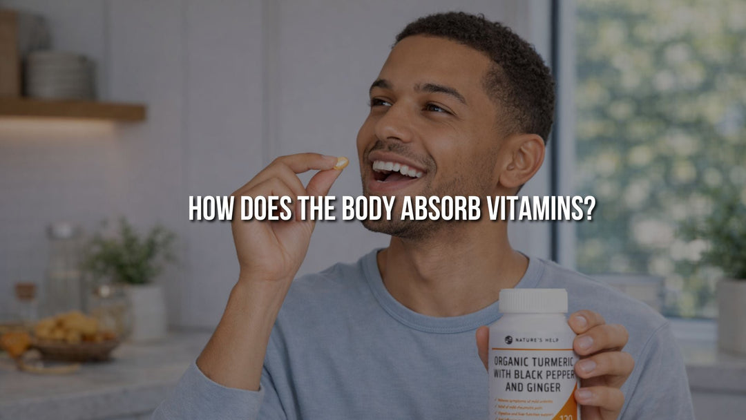 How Does the Body Absorb Vitamins and Are You Actually Getting What You Take?