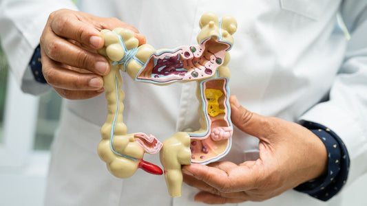 Why Your Gut Struggles in Winter (and What to Do About It)