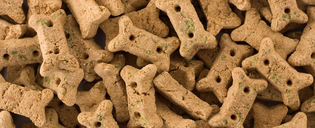 Golden Turmeric Dog Biscuits Recipe