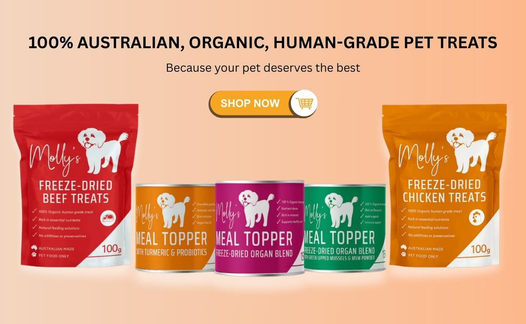Freeze-Dried Pet Food Last