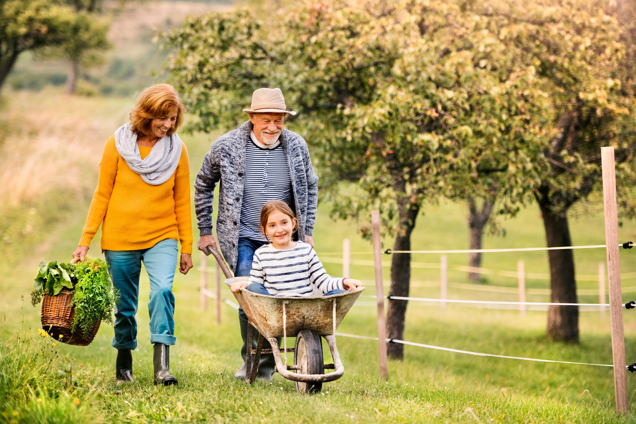 Here's How Inflammation Effects You As You Age