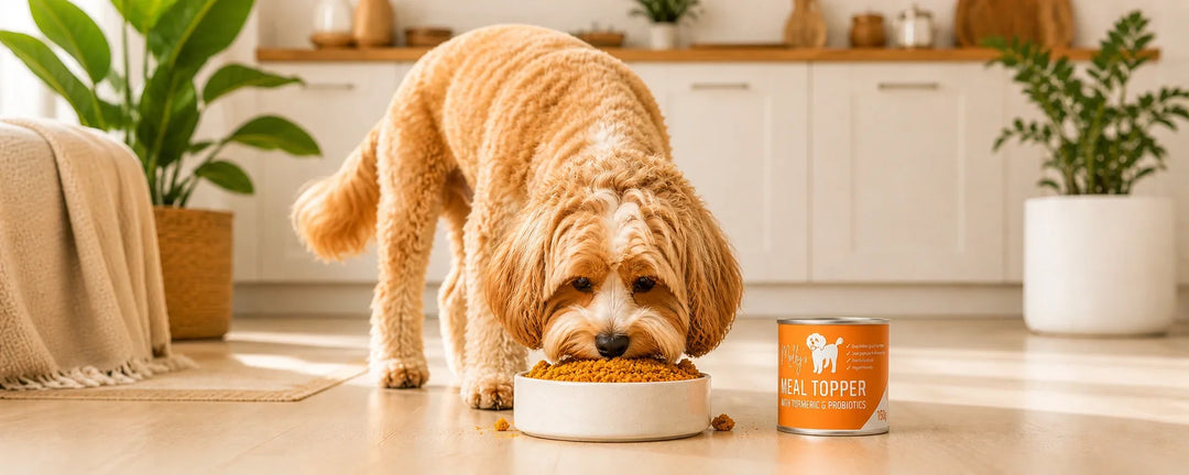 Probiotics for Dogs​