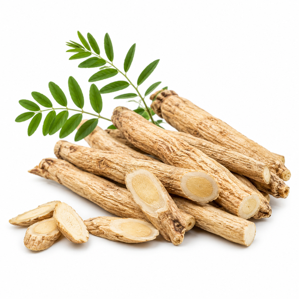 Astragalus 