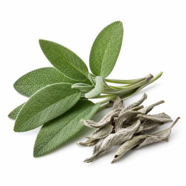 Sage