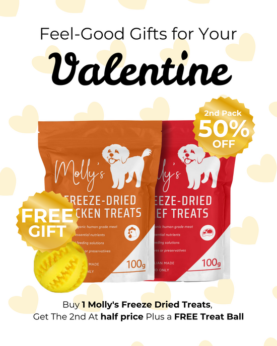 Molly’s Freeze-Dried Treats Buy 1 Get the 2nd at Half Price Plus Free Treat Ball