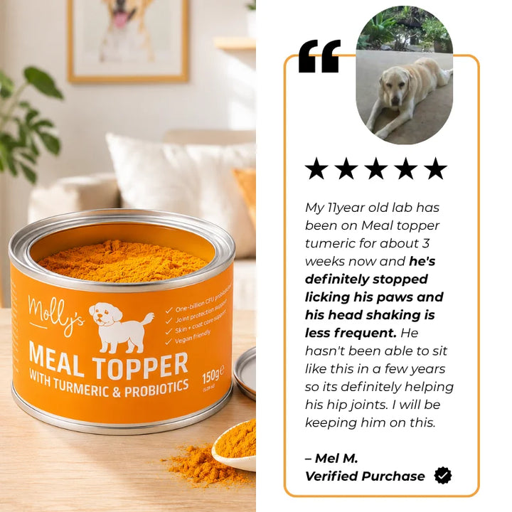 Pet Probiotic with Turmeric Meal Topper