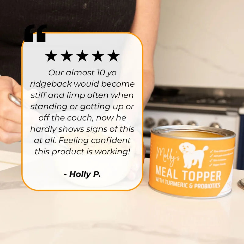 Pet Probiotic with Turmeric Meal Topper