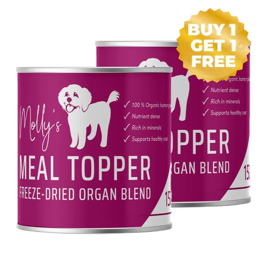 Meal Topper - Healthy Coat