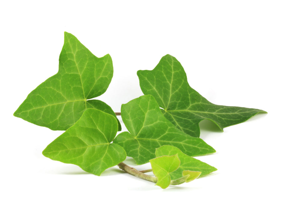 Ingredient Image