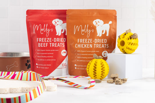 Molly's Limited Edition Treat Ball